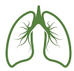 VÍAS RESPIRATORIAS